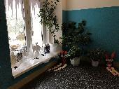 2019-12-19 Vno?n rozjmn